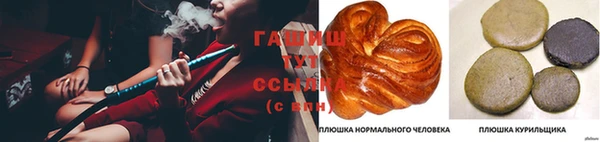 СК Гусев