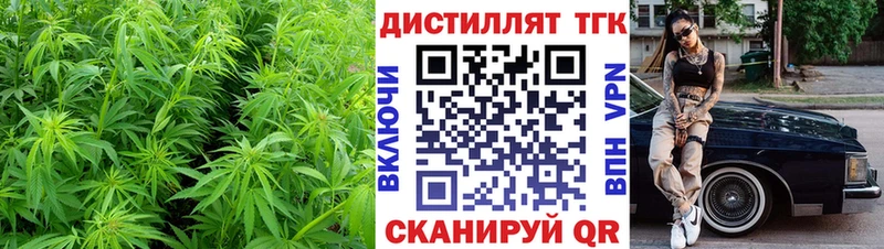 Купить где Ивантеевка ТГК Wax